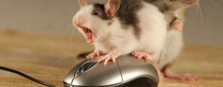 Πως πήραν τα ονόματά τους 6 πασίγνωστοι τεχνολογικοί όροι