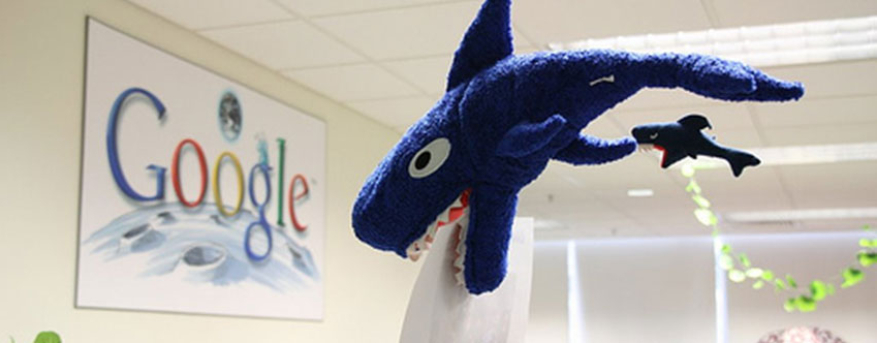 Πρόβλημα... καρχαριών αντιμετωπίζει η Google