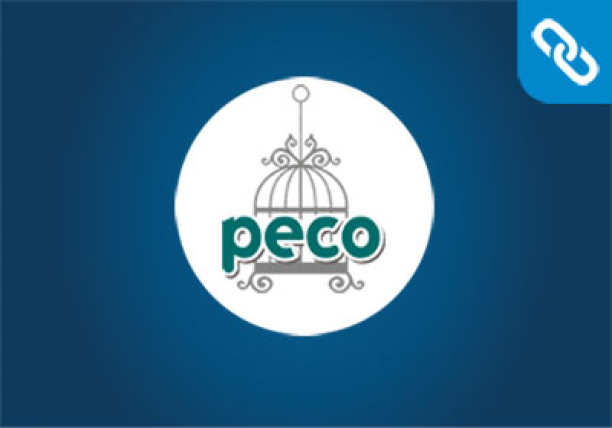 Κατασκευή Ιστοσελίδας | Peco Pet