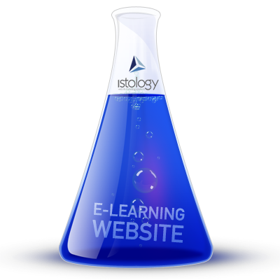e-Learning Website