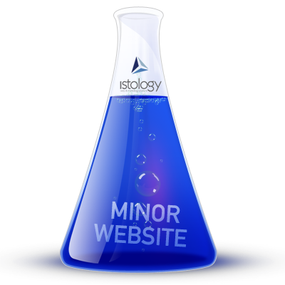 Minor Website